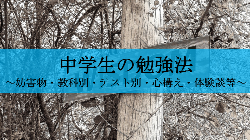 中学生の勉強法まとめ 偏差値70超えの僕がやっていた勉強法3選 せしぶろぐ