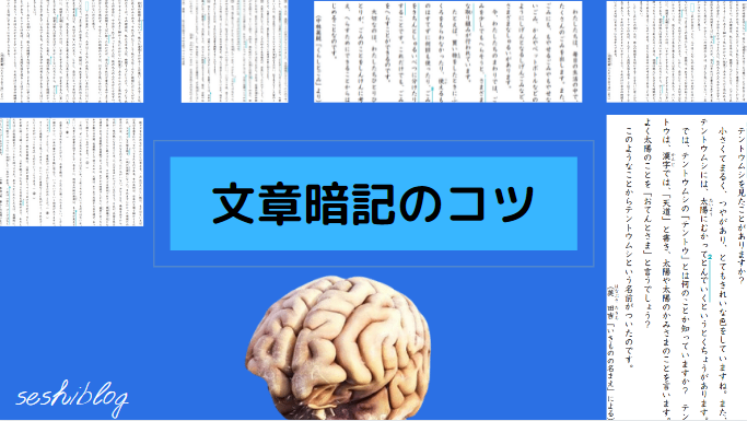 文章暗記のコツ 全国模試７位が実践していた圧倒的に早く覚える方法 せしぶろぐ