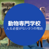 動物専門学校やばい