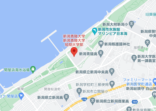 新潟青陵大学周辺マップ
