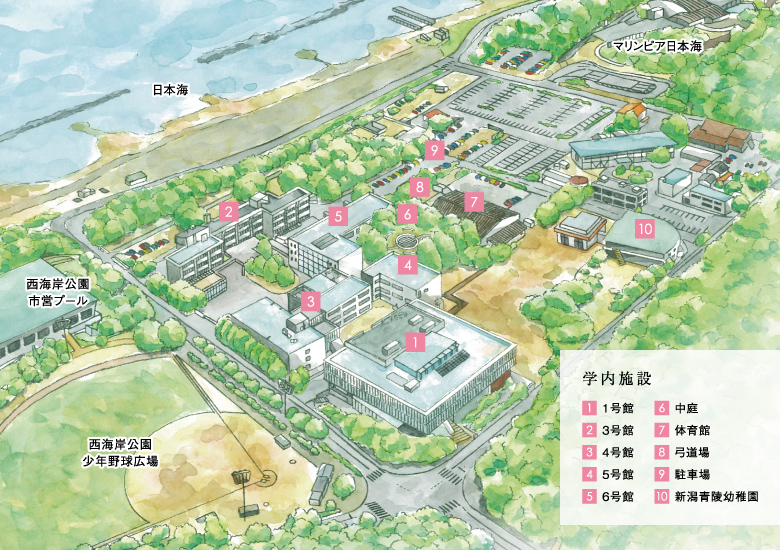新潟青陵大学キャンパスマップ