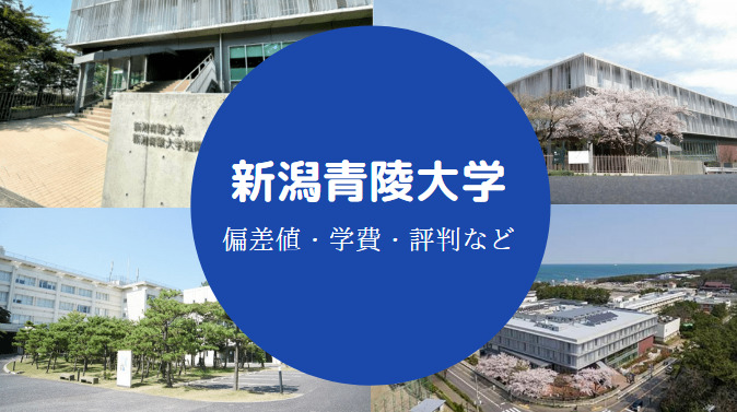 新潟青陵大学Fラン
