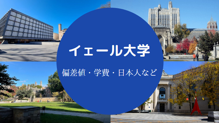 イェール大学の偏差値 日本でいうと ランキング レベルなど せしぶろぐ