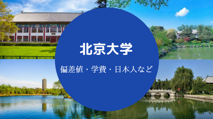 北京大学偏差値