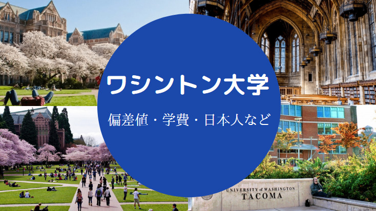 ワシントン大学 ペナント University of Washington-