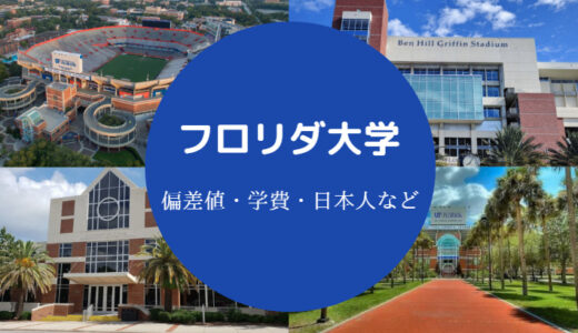 【フロリダ大学の偏差値】レベル・費用について｜日本でいうとどこ？
