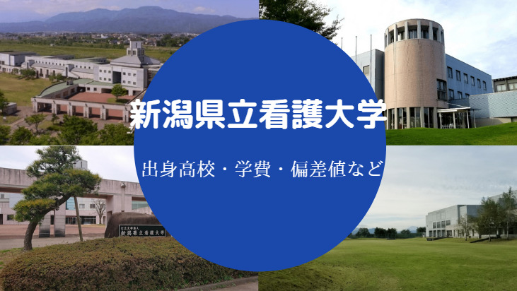 新潟県立看護大学の出身高校