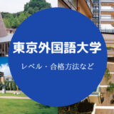 東京外国語大学レベル